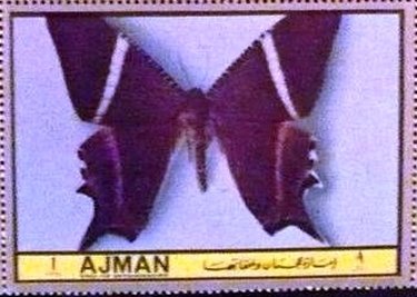 Stamp, Nyctalemon achillaria, Ajman,  , Butterflies