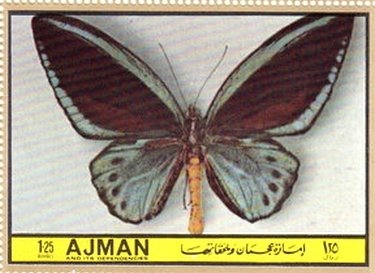 Stamp, Papilio urvillianus, Ajman,  , Insects, Butterflies, Animals (Fauna)