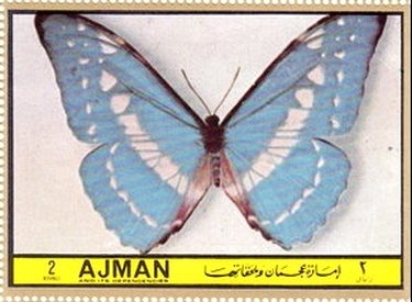 Stamp, Morpho cypris, Ajman,  , Insects, Butterflies, Animals (Fauna)