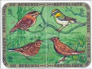 Se-tenant, Troglodytes troglodytes,Regulus ignicapillus,Alauda arvensis, Burundi,  , Birds, Animals (Fauna)