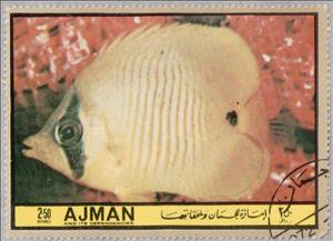 Stamp, Chaetodon, Ajman,  , Fishes