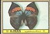 Stamp, Kallima inachus, Ajman,  , Insects, Butterflies