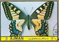 Papilio machaon