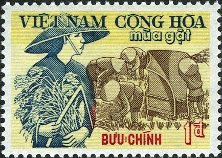 Rice Harvest