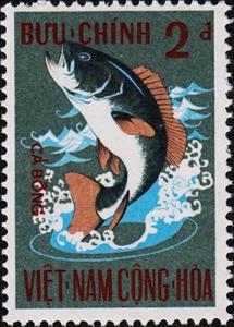 Stamp, Dusky Grouper (Epinephelus marginatus), Vietnam, South,  , Fishes