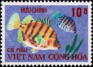 Stamp, Pearlspot Cichlid (Etroplus suratensis), Vietnam, South,  , Fishes