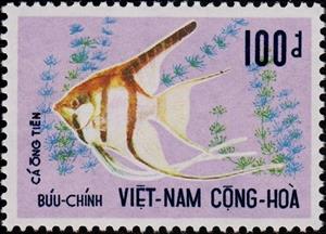 Stamp, Freshwater Angelfish (Pterophyllum scalare), Vietnam, South,  , Fishes