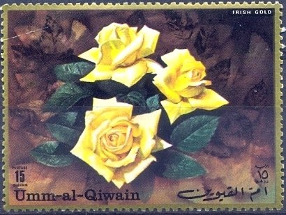 Irish Gold