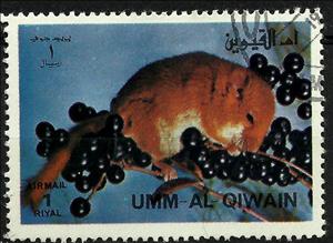 Stamp, Common Dormouse (Muscardinus avellanarius), Umm al-Qiwain,  , Animals (Fauna)
