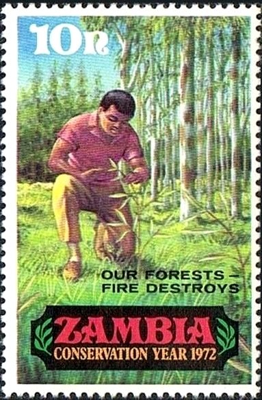 Forrestry