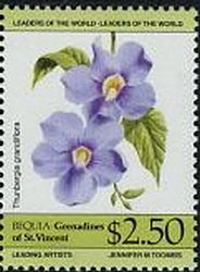 Thunbergia grandiflora