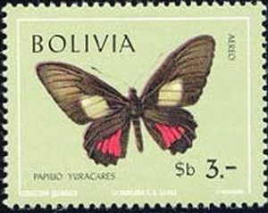 (Papilio yuracares)