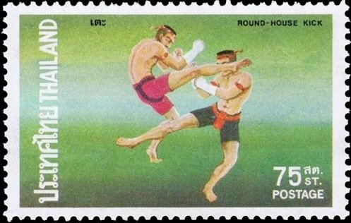 Round-house kick