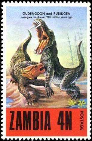 Oudenodon and rubidgea