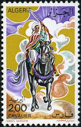 Rider
