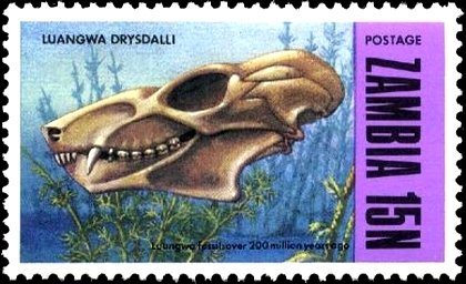 Stamp, Skull of Luangwa Drysdalli, Zambia,  , Archaeology