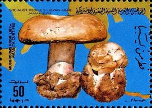 Stamp, Amanita curtipes, Libya,  , Mushrooms