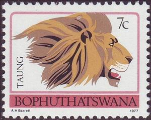 Stamp, Lion (Panthera leo), South Africa, Homelands,  , Mammals, Лев, Animals (Fauna)
