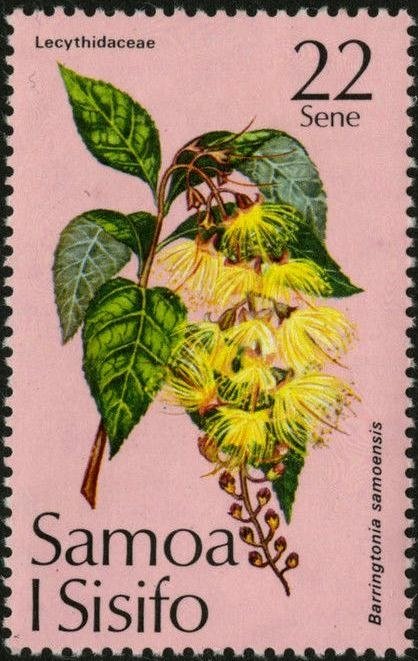 Lecythidaceae