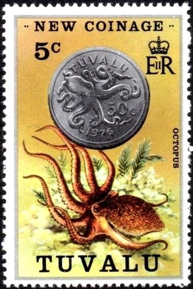 50c Coin, Atlantic Longarm Octopus (Macrotritopus defilippi)