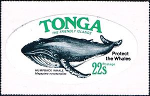 Stamp, Humpback Whale (Megaptera novaeangliae), Tonga,  , Sea (Marine) Mammals, Whales