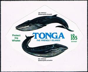 Stamp, Sei Whale (Balaenoptera borealis), Fin Whale (Balaenoptera p, Tonga,  , Sea (Marine) Mammals, Whales