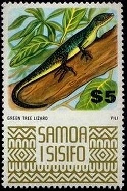 Green Tree Monitor (Varanus prasinus)