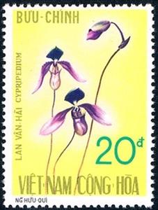 Stamp, Cypripedium collosum, Vietnam, South,  , Flowers, Orchids, Plants (Flora)