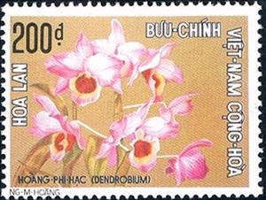 Stamp, Dendrobium nobile, Vietnam, South,  , Flowers, Orchids, Plants (Flora)