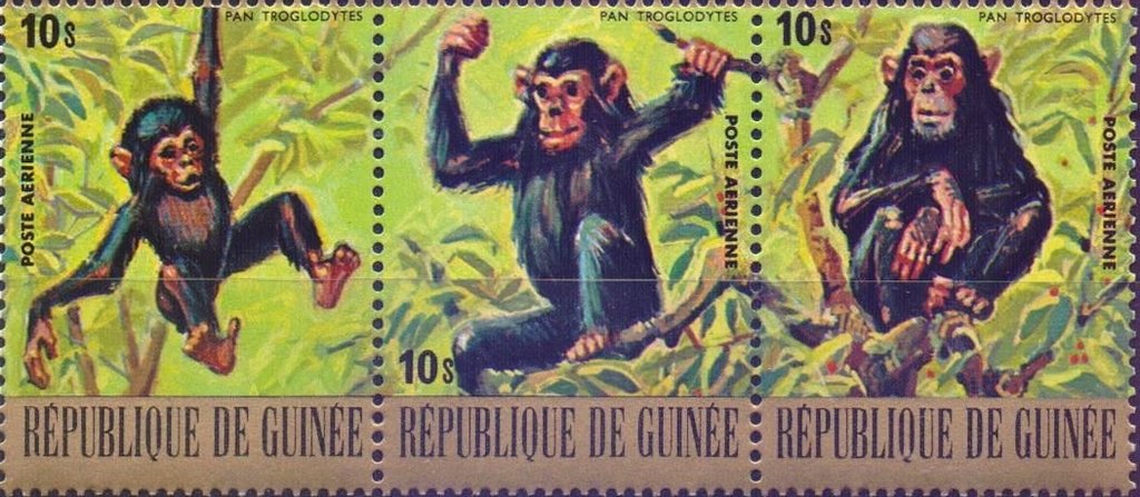 Chimpanzee (Pan troglodytes) - Stripe of 3 Stamps
