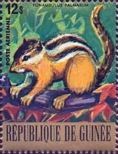 Stamp, Indian Palm Squirrel (Funambulus palmarum), Guinea, Social Democratic Republic,  , Mammals, Squirrels, Animals (Fauna)