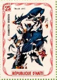 Blue Jay