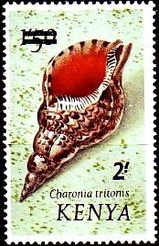 Stamp, Atlantic Triton (Charonia tritonis variegata), Kenya,  , Shells