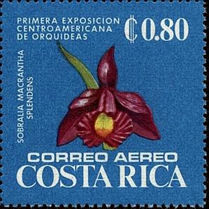 Stamp, Sobralia macrantha splendens, Costa Rica,  , Orchids
