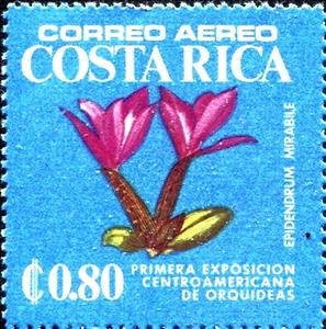 Stamp, Epidendrum mirabile, Costa Rica,  , Flowers, Plants (Flora)