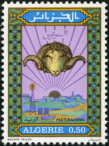 Sheep breeding