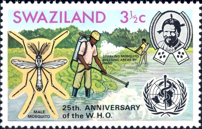 Mosquito control