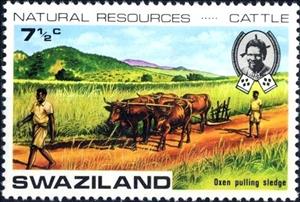 Stamp, Oxen pulling plow, Swaziland,  
