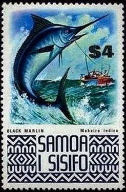 Black Marlin (Makaira indica)
