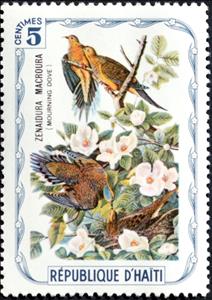 Stamp, Zenaidura macroura, Cinderellas,  , Birds