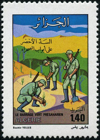 Soldiers at the tree planting
