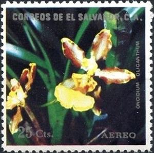 Stamp, Oncidium oliganthum, El Salvador,  , Flowers, Orchids, Plants (Flora)