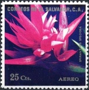 Stamp, Spiranthes speciosa, El Salvador,  , Flowers, Orchids, Plants (Flora)