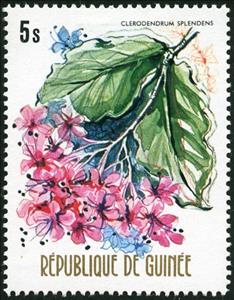 Stamp, Clerodendrum splendens, Guinea, Social Democratic Republic,  , Flowers, Plants (Flora)