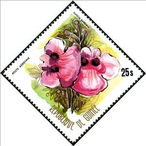 Stamp, Diascia barberae, Guinea, Social Democratic Republic,  , Flowers, Plants (Flora)