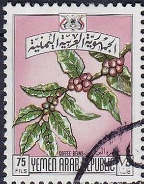 Stamp, Branch of a coffee shrub, Yemen, Arab Republic,  , Fruits, Coffee, Plants (Flora)