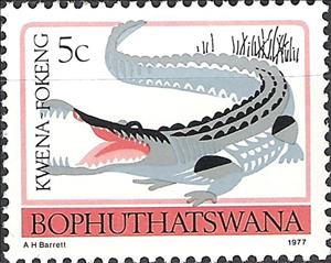 Stamp, Nile Crocodile (Crocodylus niloticus), South Africa, Homelands,  , Lizards, Crocodiles