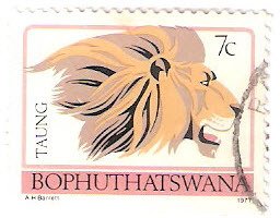 Stamp, Lion (Panthera leo), South Africa, Homelands,  , Cats, Лев