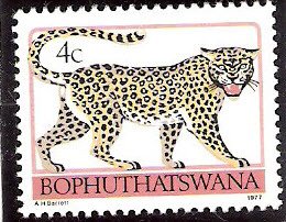 Stamp, Leopard (Panthera pardus), South Africa, Homelands,  , Cats, Leopards