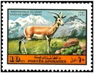 Stamp, Persian Gazelle (Gazella subgutturosa), Afghanistan,  , Animals (Fauna)